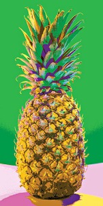 pineapplesmcmyk